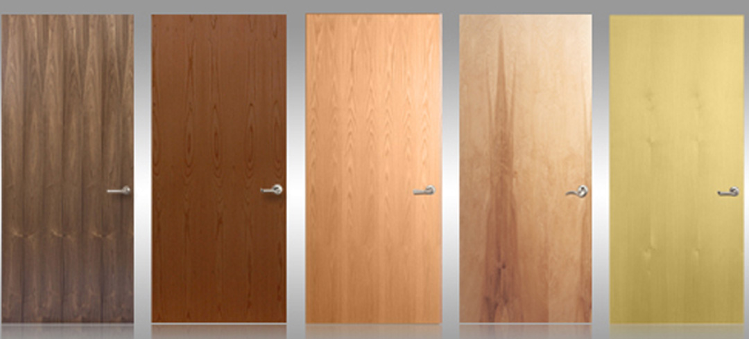 `Radiant Passive’ Wooden Door with Wooden Frame: